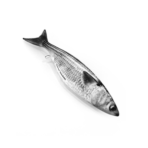 Pescado mullet entero fresco congelado al mejor precio mayorista del mercado - Product Image 5