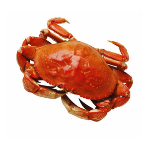 Fresh Red King Crab Fresh/congelado/vivo Red King Crabs,Soft Shell Crabs,Blue Swimming Crabs - Product Image 6