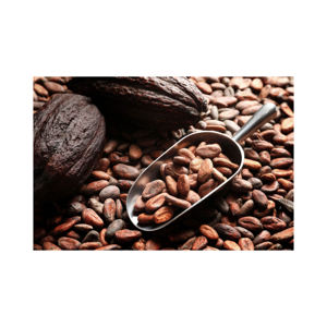 Fèves de cacao ARIBA de qualité supérieure, traitement naturel hollandais, qualité supérieure, origine Afrique du Sud, durée de conservation de 2 ans, emballage personnalisé de 5 kg - Product Image 2