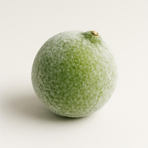 ส่งออกมะนาวแช่แข็งจากเวียดนามทั้งหมดและตัดพร้อมสำหรับการจัดส่ง - Product Image 3