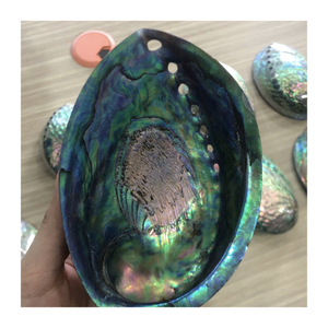 Perlas de concha de abulón de primera calidad para manualidades de joyería a granel, arte de cuchara y tenedor y decoración de mini jarrón - Product Image 6