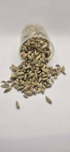Vente en gros Cardamome verte - Product Image 5