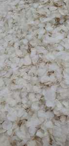 เครื่องชั่งน้ำหนักปลาแห้ง/ปลากะพงบารามันดี/ปลาช่อน/หัวงู/ทาลาเปีย (ปลานิล) กล่องขนาดใหญ่/แอนนาโด - Product Image 4