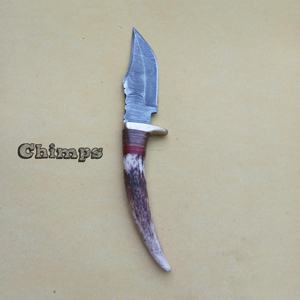 Cuchillo de caza de acero de Damasco hecho a mano, cuchillo para desplumar, cuchillo para llevar todos los días, mango de cuerno de ciervo con Funda de cuero - Product Image 2