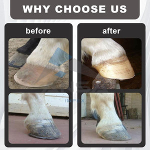 Mini escofina de pezuña para caballos y animales de granja escofina de herrador profesional para patas de cabra, ponis, burros, potros, otros animales - Product Image 4