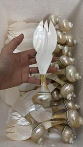 Cuillère de luxe incrustée de nacre, coquillages et conques, faite à la main, réutilisable, haute qualité, promotion 2026 - Product Image 4