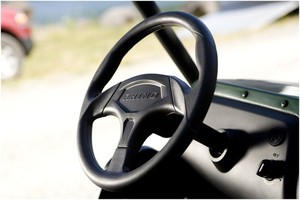 2026 Rhino 700 FI Auto 4x4 Nuevo Vehículo Utilitario UTV Todoterreno Listo para Exportación - Product Image 2