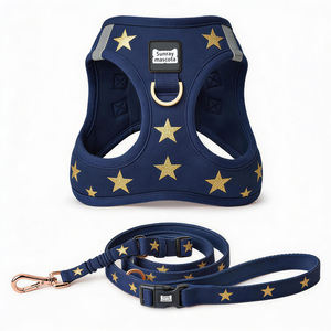 선레이마스코타 맞춤형 소프트 메쉬 애완견 고양이 하네스 반사성 통기성 스텝인 도그 하네스 세트 강아지 애완견 산책 세트 - Product Image 1