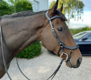 Brida anatómica en negro hecha de cuero de alta calidad - Product Image 6