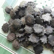 Premium GAC Seed Antioxidante natural Nutrientes limpios Especias y hierbas individuales derivadas de plantas - Product Image 3