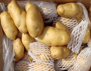 High Quality Fresh Shape Potatoes Cold <b>Storage</b> No Additives 60-Day Shelf Life Bulk Agricultural Produce for Food Processing - Product Image 4