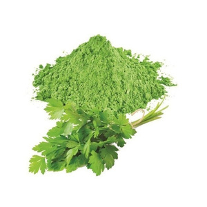 Polvo de hoja de cilantro crudo secado al aire Hojas de cilantro recién procesadas Especias naturales Premium para hierbas culinarias - Product Image 6