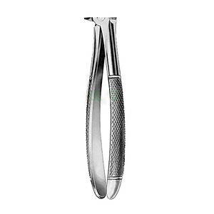 Forceps d'extraction manuels en acier inoxydable de haute qualité, incisives inférieures, modèle 1032, ensemble dentaire, exportateurs et fabricants - Product Image 6