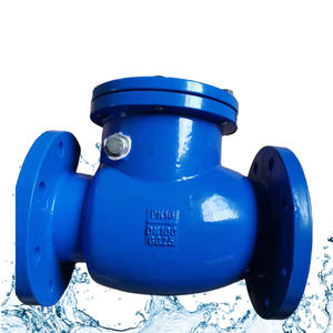 <span class=keywords><strong>Valve</strong></span> non-<span class=keywords><strong>retour</strong></span> malléable GGG40 à bride oscillante ANSI classe 125 DIN PN16 BS JIS DN50-DN300 pour système gaz résilient personnalisé - Product Image 3