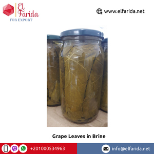 Exportador Mundial de Hojas de Parra en Salmuera de la Mejor Calidad para Exportación a Granel |   Proveedor de Hojas de Parra Egipcias - Product Image 5