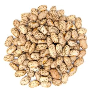Fresh Harvested Pinto <strong>Beans</strong> Available In Stock Best Selling Pinto <strong>Beans</strong> With High Cleaning Standard - Product Image 5