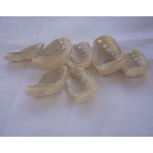 Bijoux en coquilles d'ormeau Artisanat naturel SEASHELL Taille brute Oyster Motif Shell Style SEASHELL BIJOUX - Product Image 2