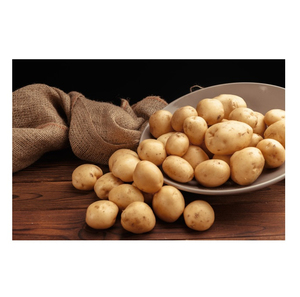 Pommes de terre fraîches de qualité export de Chine, grade A, 25 kg/sac - Product Image 4