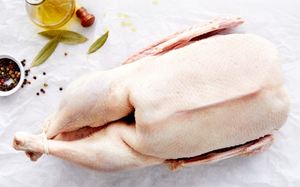 Carcasse d'oie halal de qualité supérieure, traitée selon les normes pour les services de restauration et les acheteurs en gros - Product Image 5