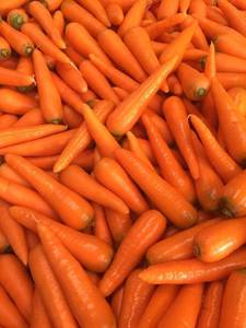 Carottes fraîches d'importation de qualité Carottes fraîches 100% biologiques à vendre - Product Image 2