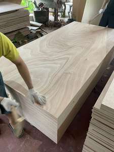 Contrachapado Bintangor de Primera Clase Comercial FOMEX GREENWOOD, Espesor de 12-18 mm, Emisión E2 para Uso en Interiores, Muebles de Diseño Moderno - Product Image 4