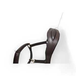 Licol en cuir de cheval dos nu rembourré avec muserolle verni et large bandeau marron - Product Image 5