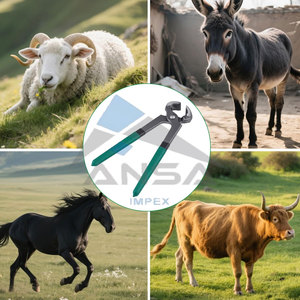 Pince à sabot 8 "avec poignées en plastique Outil de maréchal-ferrant en acier au carbone robuste pour tailler et couper les sabots Vache Âne Chèvre - Product Image 6