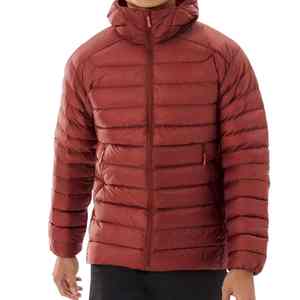 Fabricant OEM best-seller Manteaux en duvet pour hommes Veste de randonnée hivernale Manteau de luxe avec rangement pliable pour hommes - Product Image 1