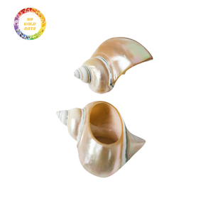 Servilleteros Seashell económicos de 99 Gold Data-Artesanía superior - Product Image 1