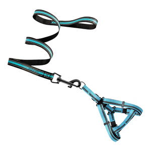 Elegante Set Pettorina e Guinzaglio per Animali Domestici in Nylon Confortevole per Addestramento e Passeggiate di Lusso, Traspirante, Taglia XL, Fantasia a Righe Solida - Product Image 3