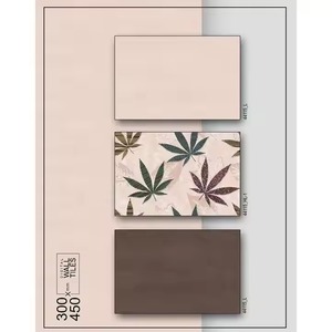 Fabricante y exportador de azulejos de pared de cerámica de mármol italiano India mejor calidad precio más barato disponible 30x45 300x450 12x18 - Product Image 5