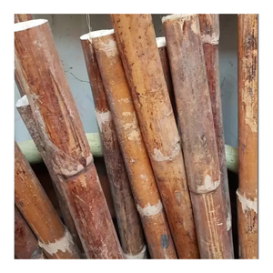 เสาหวายดิบทำจากหวาย99กรัมทำจากวัสดุทำจากหวายธรรมชาติทำจากฟอกขาวคุณภาพสูง - Product Image 1