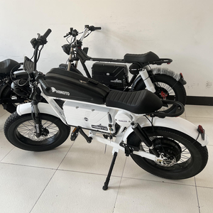 Warriorr E-BIKE 3000W 60V แบตเตอร์รี่ปรับช่วงล่างได้อลูมิเนียมอัลลอยด์แร็คสำหรับ45Ah จักรยานไฟฟ้าในเมือง - Product Image 1