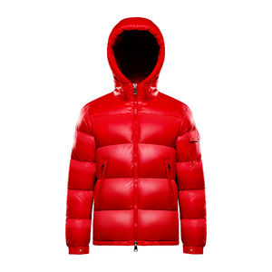 2026 Haute Qualité Vers Le Bas Manteau Puffer Capuche Respirant Logo Personnalisé Conception Femmes Polyester Vers Le Bas Manteau Puffer Capuche pour Unisexe - Product Image 2