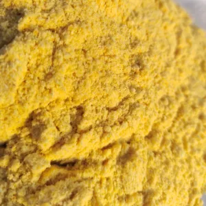 Farine de maïs en poudre de maïs jaune pur biologique pour l'alimentation animale agricole de l'exportateur indien