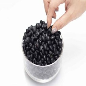 Harvest 2026 Haricots noirs séchés |   Haricots noirs biologiques séchés naturels riches en fibres, certifiés biologiques, 24 étagères - Product Image 4