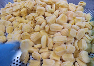 Naturalmente dulce Jaca congelada pelada sin semillas listo para servir producto de Vietnam - Product Image 6