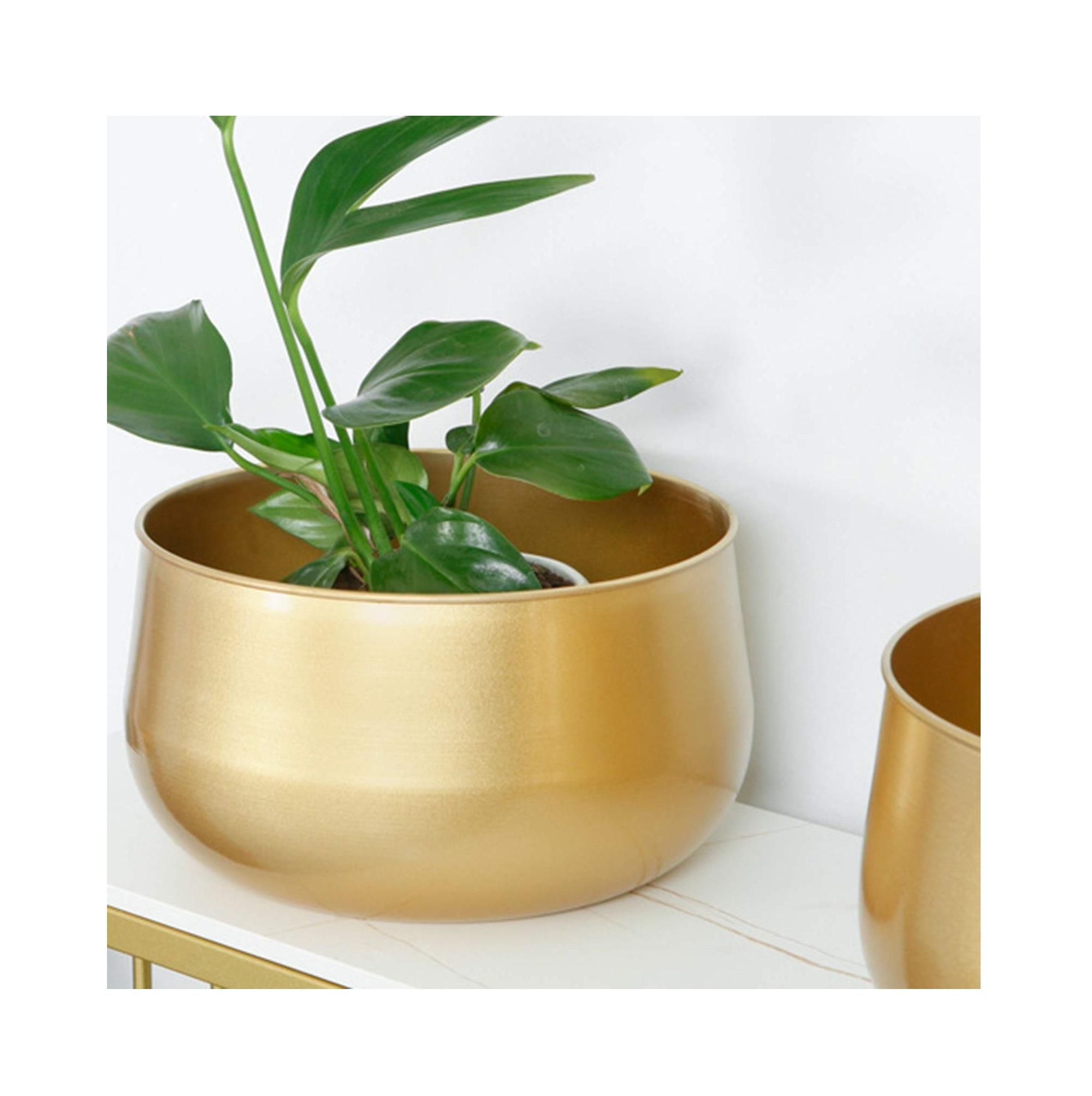 สีธรรมชาติ