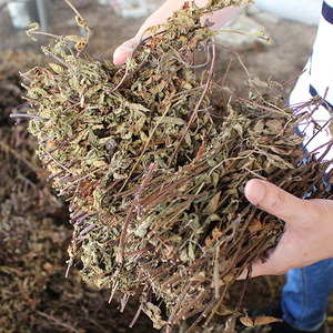 Hojas de Gelatina de Hierba Seca - Product Image 6