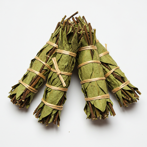 Lá Mãng cầu sấy khô, một sự lựa chọn hoàn hảo cho những người yêu trà tự nhiên - Product Image 5