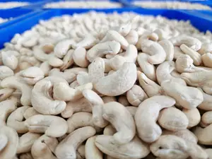 Roasted Cashew Nuts Best Choice Organic Nuts Using For Food Roasted Cashew Kernels Cashew Nuts  Salt Made In Vietnam
