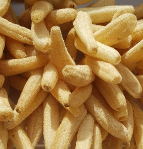 Loofah <b>Sponge</b> Custom Large Scrubbing Pad Make in Viet Nam With 100% <b>Natural</b> Kitchen <b>Sponges</b> Organic Fruit Vegetable - Product Image 3