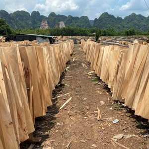 Eucalyptus Épaisseur 1.7mm 1.8mm 2.0mm Noyau Placage Vietnam Vente en gros Feuilles de placage Garantie Matériau stable rentable - Product Image 2