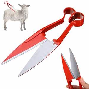 <b>Sheep</b> <b>Shears</b> Wool Shearing <b>Sheep</b> Manual Hand Scissor Cutter for Trimming Flowers Farming Tool Veterinary Instruments - Product Image 2