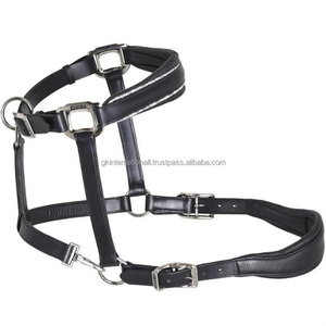 Casque anatomique au design personnalisé double cristaux rembourrés licou de cheval en cuir robuste en tailles d'épi complètes et matériel en laiton - Product Image 2