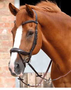 Brida anatómica marrón con manivela y brida de caballo Flash MEJOR cuero genuino de alta calidad - Product Image 5