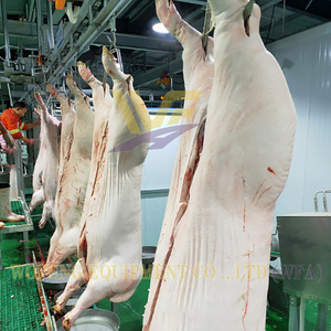 Schlachthof Schwein Komplette Schlacht linie Schweine Automatische Schlacht ausrüstung Schweine fleisch Metzger Maschinen - Product Image 2