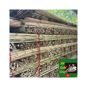 Proyectos de construcción de edificios con tubo de postes de bambú de alta resistencia que proporciona material duradero y sostenible con fuerte soporte - Product Image 6