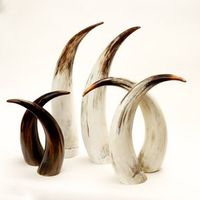 Corne de buffle naturelle noire polie, écologique, en corne de bœuf brute, pour la décoration de mariages et de fêtes