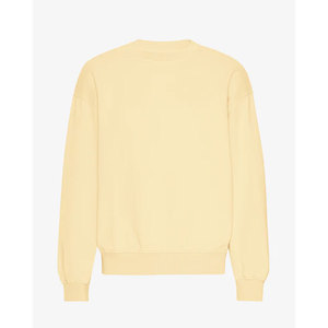 High Quality Winter Man Custom Distressed Sweatshirt Pullover <b>Thick</b> <b>Fleece</b> Lining Urban Streetwear Supplier OEM Sweatshirt - Product Image 5